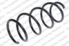 ROC CS7919 Coil Spring